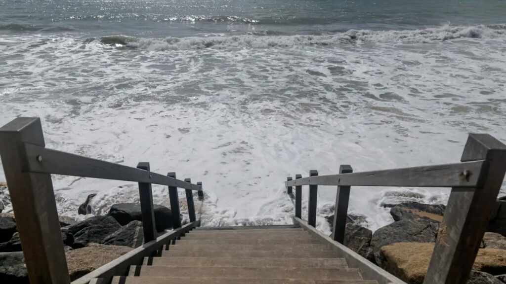 La biodiversidad, la asignatura pendiente de la «Constitución de los océanos»