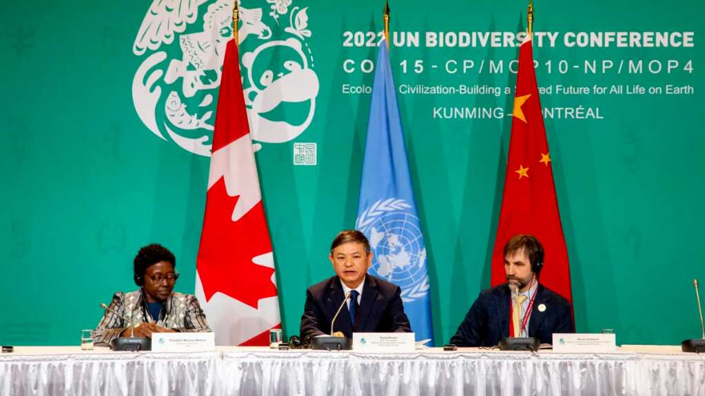 La financiación de la biodiversidad sigue bloqueando el acuerdo en COP15