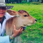 Alex Rodríguez Villegas- muerte en atraco-Turbaco- médico veterinario