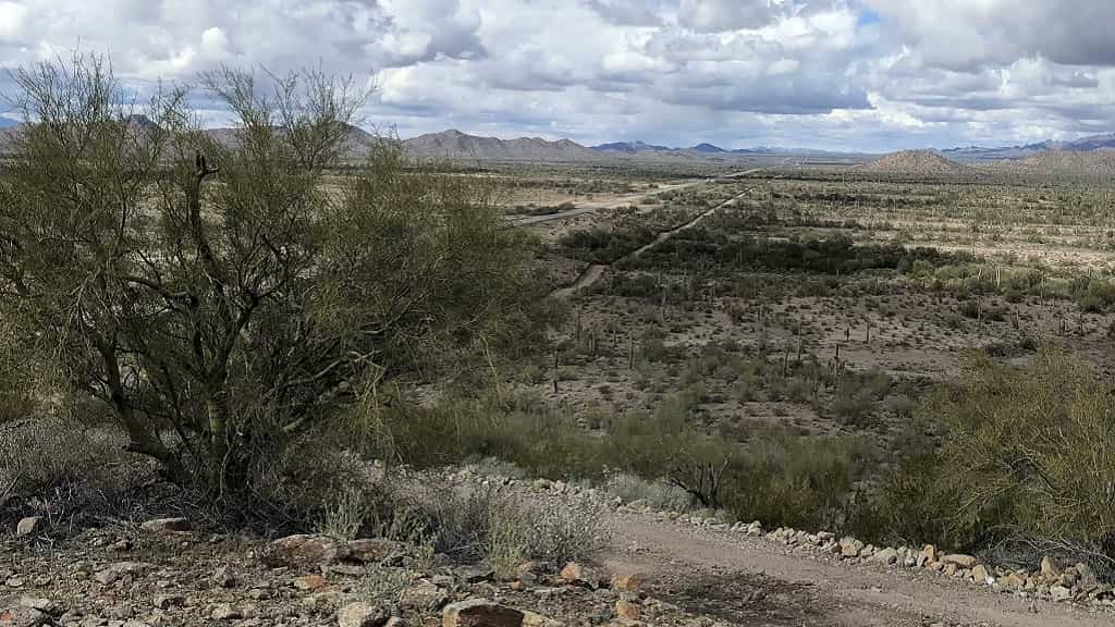 Migrantes jóvenes y atractivas están desapareciendo en zona del desierto de Arizona