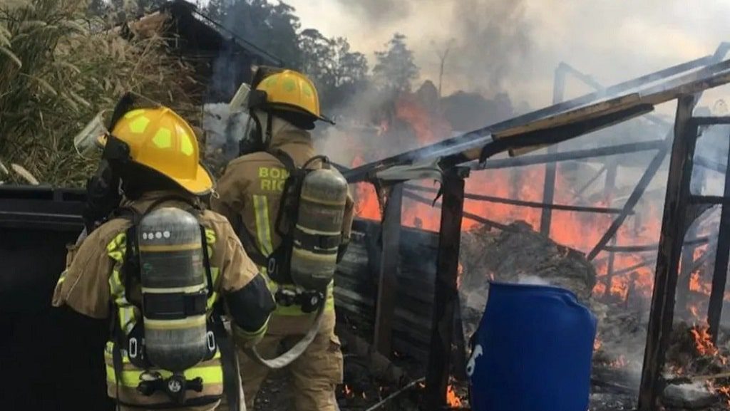 Una parte de La Finca de Rigo se quemó este domingo, en Rionegro