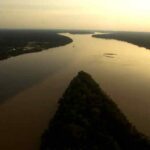 Alemania ofrece 35 millones de euros a Brasil de uso inmediato en la Amazonía
