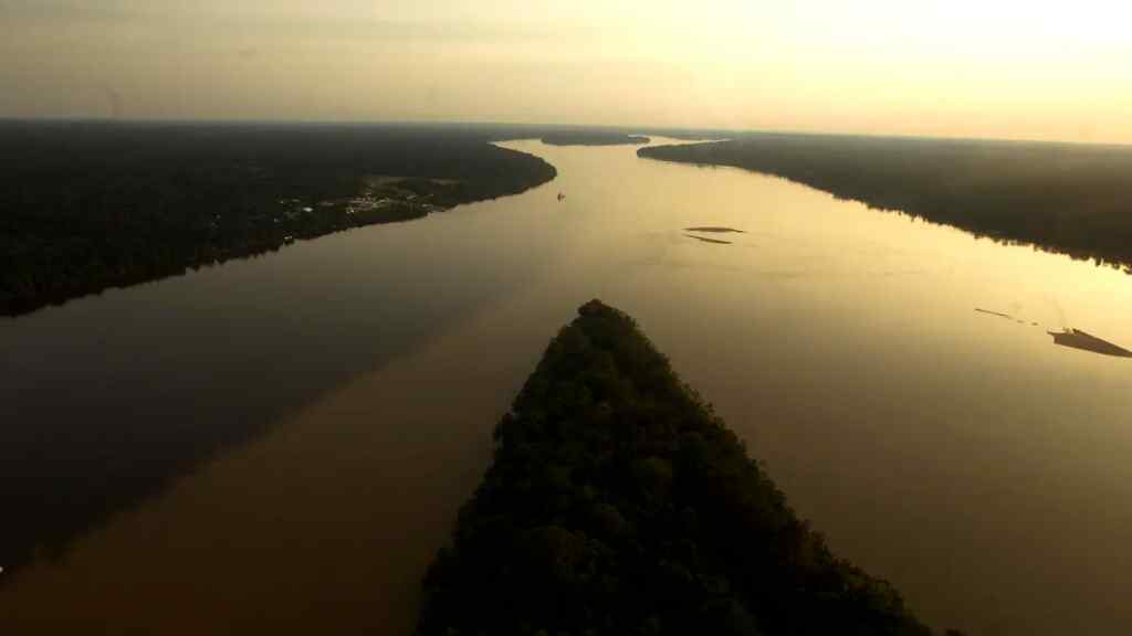 Alemania ofrece 35 millones de euros a Brasil de uso inmediato en la Amazonía