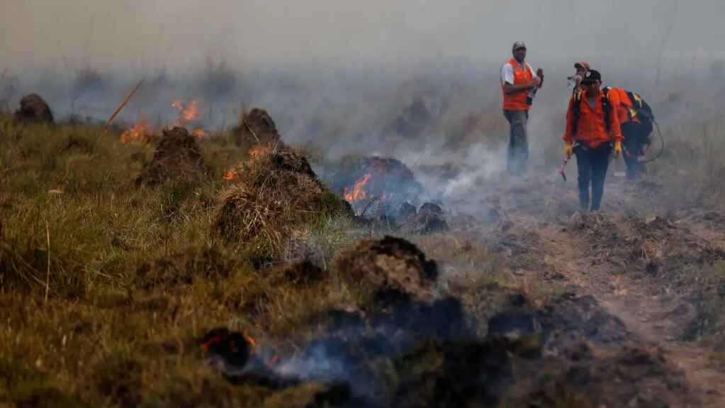 Argentina extiende la «emergencia ígnea» para combatir los incendios forestales