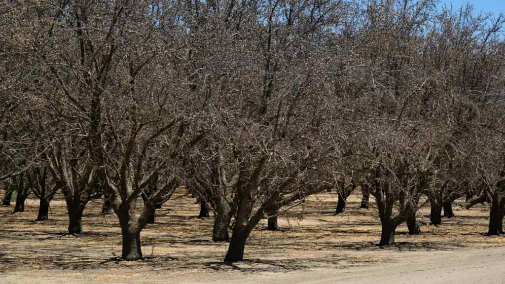 California, cuando el clima mediterráneo adopta forma de tormenta o sequía