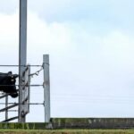 La falta de mano de obra es el mayor desafío para los agricultores de EE.UU.