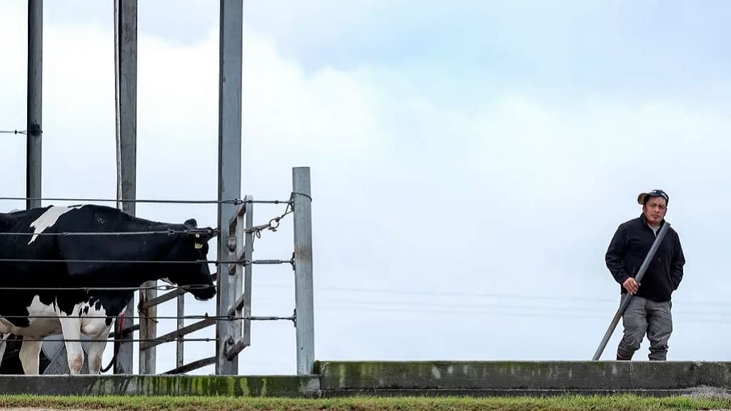 La falta de mano de obra es el mayor desafío para los agricultores de EE.UU.