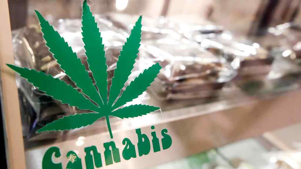 Legalización aumenta la intoxicación infantil por cannabis comestible en EEuu