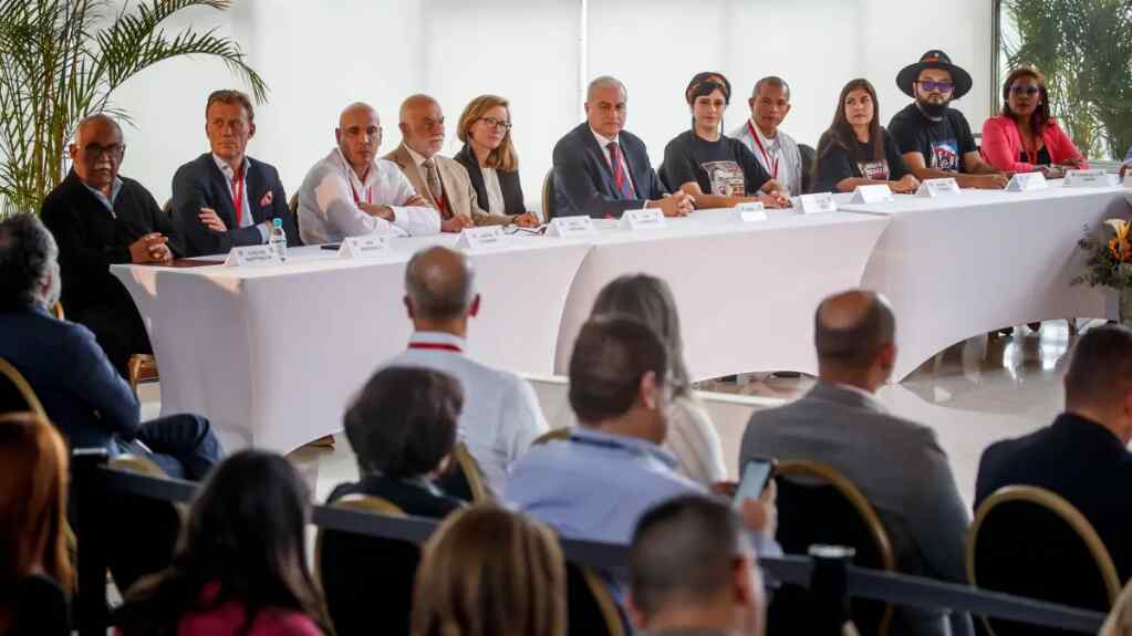 Misión de la OEA en Colombia considera una «señal positiva» el cese al fuego