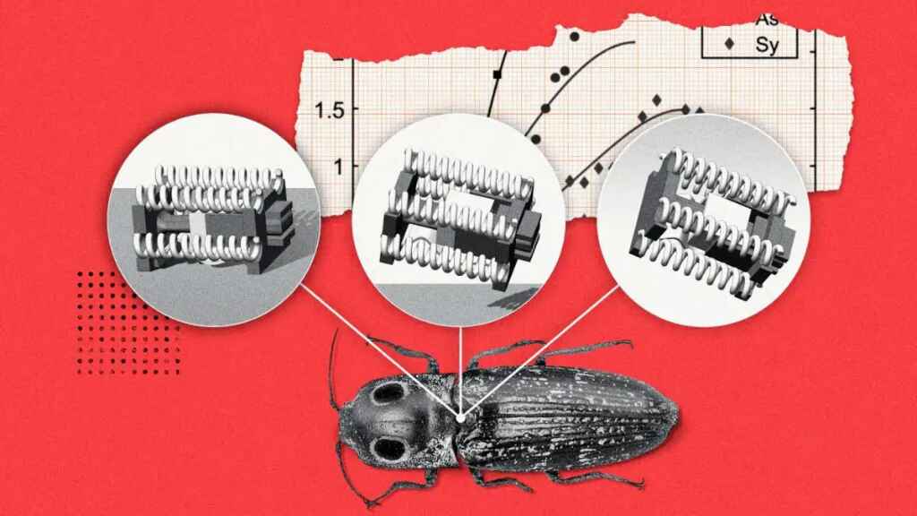 Robots inspirados en escarabajos para realizar tareas en espacios reducidos