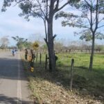 Joven muerto al caerle palo en la cabeza, en Tierralta, Córdoba