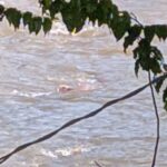 Cadáver fue hallado en el río Medellín, por el Puente de Guayaquil