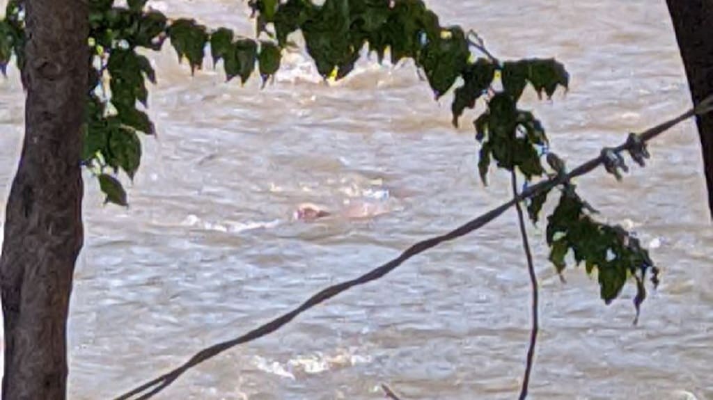 Cadáver fue hallado en el río Medellín, por el Puente de Guayaquil