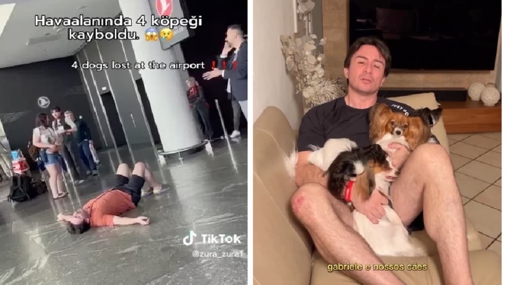 Hombre que llora por sus 4 perros en un aeropuerto ya los encontró