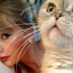 Olivia Benson, la gata de Taylor Swift es la tercera mascota más rica del mundo