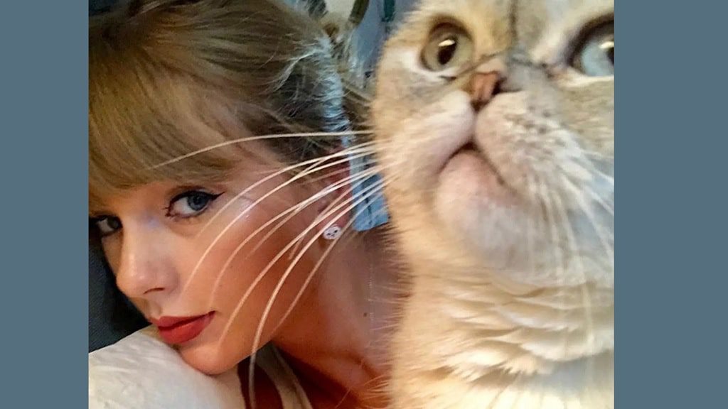 Olivia Benson, la gata de Taylor Swift es la tercera mascota más rica del mundo