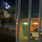 Bebé muerta en motel en Valledupar