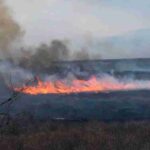 Argentina enfrenta críticos incendios en la zona de humedales del noreste