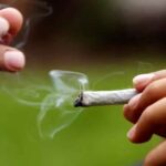 Avanza una iniciativa para legalizar en Florida el consumo recreativo de marihuana--La Corte Constitucional preserva el consumo de drogas como causal de divorcio, pero busca proteger a los hijos y prevenir la violencia