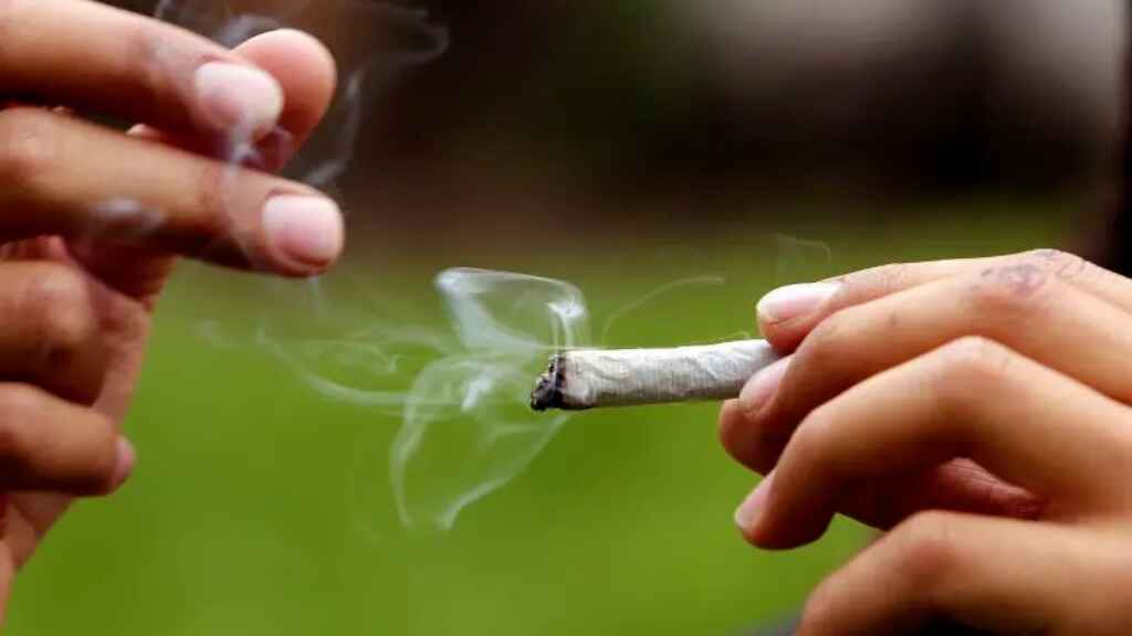 Avanza una iniciativa para legalizar en Florida el consumo recreativo de marihuana