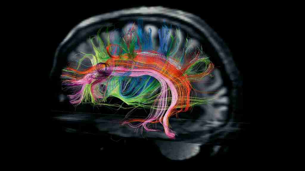 China crea microscopio de tres fotones para imágenes de cerebro profundo