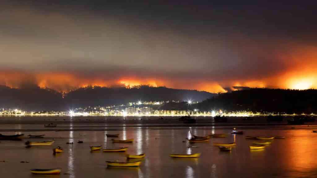 Damnificados por incendios del sur de Chile_ “Se perdió todo, fue un infierno»