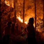 El Gobierno chileno anuncia medidas de ayuda y recuperación tras los incendios