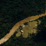 El amarillo de los metales pesados tiñe el río que baña la tierra yanomami