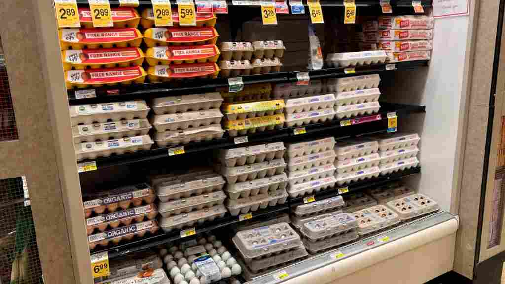El loco precio de los huevos, un dolor para los hogares estadounidenses