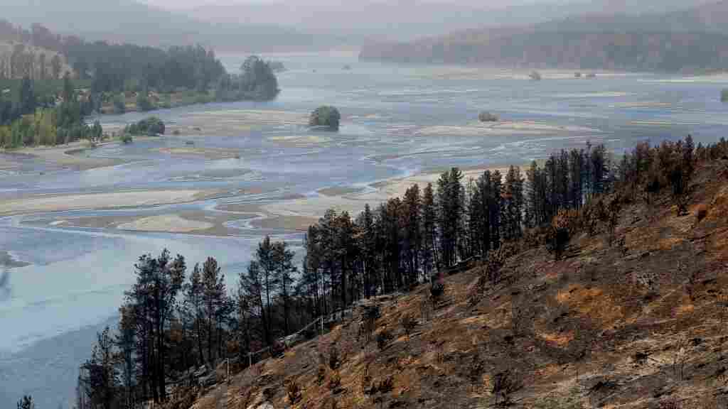 Incendios reviven con fuerza en el sur de Chile y el Gobierno reconoce su preocupación