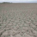 La OMM teme que la sequía en el Cuerno de África podría continuar en 2023