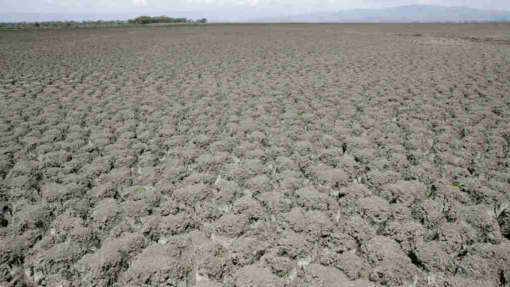 La OMM teme que la sequía en el Cuerno de África podría continuar en 2023