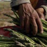 La producción nacional de Perú creció un 2,68 % en 2022