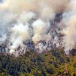 Los fuertes vientos provocan la rápida propagación de incendio forestal en Cuba