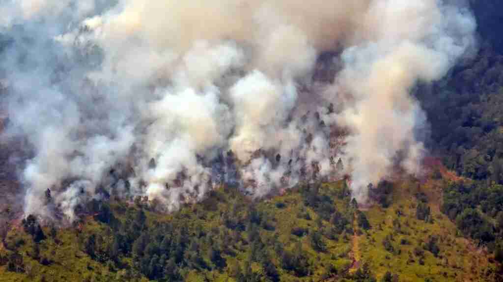 Los fuertes vientos provocan la rápida propagación de incendio forestal en Cuba