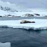 Los glaciares de la península Antártica aceleran su movimiento en verano