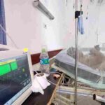 Perú declara emergencia sanitaria en 59 distritos de 13 regiones por dengue