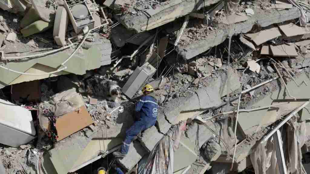 Suben a 25.000 los muertos por los terremotos en Turquía y Siria - Síndrome de aplastamiento: ¿Hasta cuándo pueden encontrarse supervivientes?