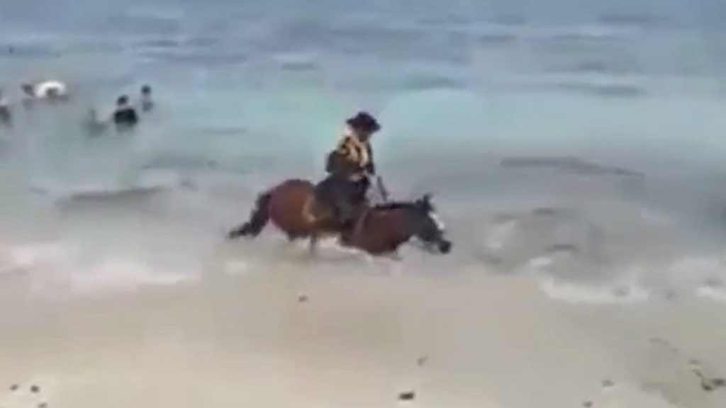 caballo de la Policía se da un chapuzón en el mar de San Andrés