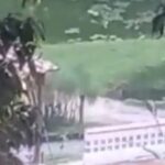 En Betania asesinaron a un hombre en piscina de un balneario
