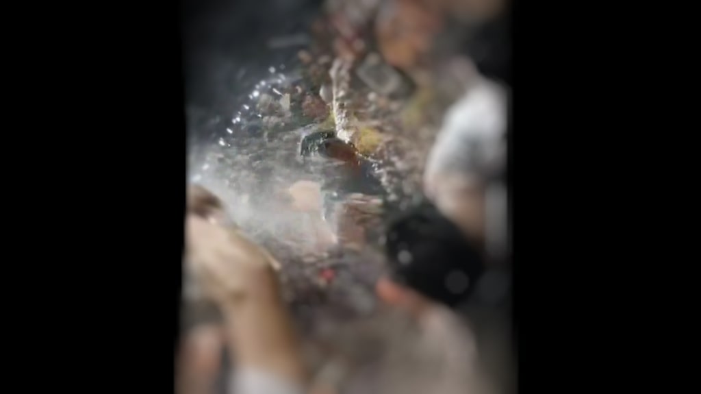 Bastante escandalosas han resultado las imágenes que se han filtrado vía redes sociales sobre las celebraciones callejeras del festival de Salinas, Ecuador.