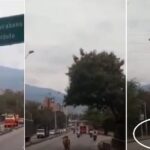 Una vaca en plena autopista Norte, en Bello, hizo caer a un motociclista