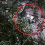 Alba Carolina Sánchez- hallan cuerpo de mujer que cayó en una camioneta al río suratá