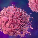 Bacterias modificadas genéticamente destruyen tumores en nuevo tratamiento contra el cáncer