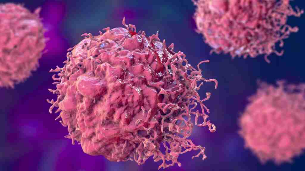 Bacterias modificadas genéticamente destruyen tumores en nuevo tratamiento contra el cáncer