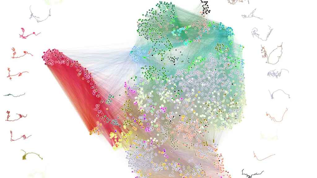 Completan el mapa cerebral de un insecto, un gran avance para la neurociencia