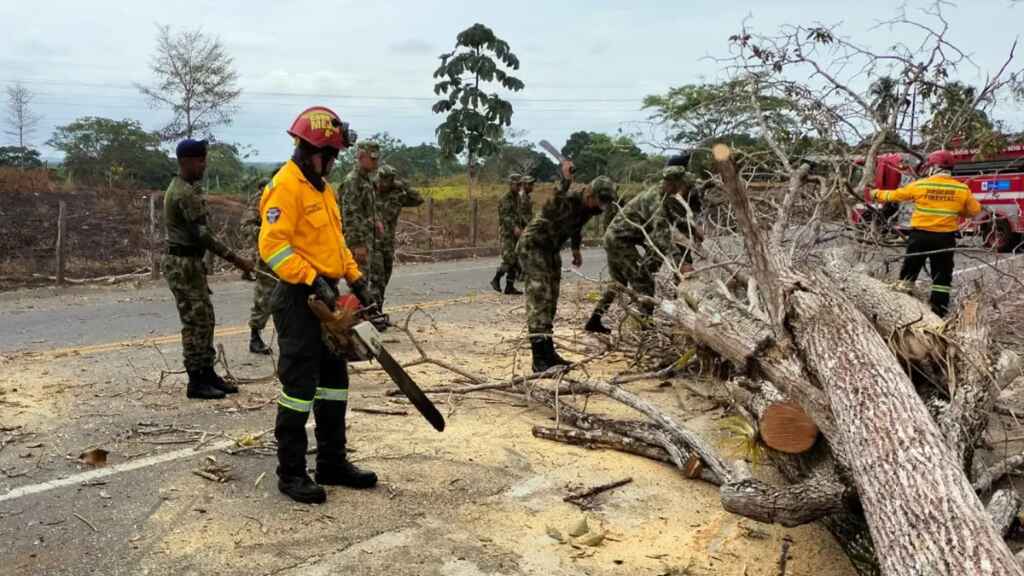 Paro minero instigado por el Clan del Golfo desafían al Estado colombiano