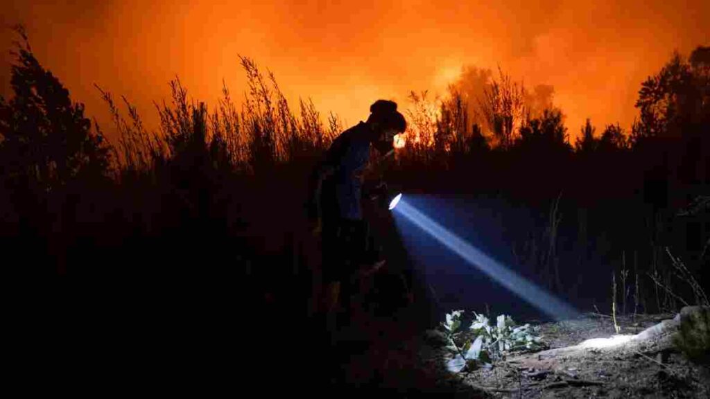 Veinte incendios forestales siguen en combate en la zona centro sur de Chile