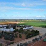 Andalucía en alerta por una sequía histórica que amenaza su desarrollo