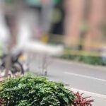 Medellín- avenida la playa- muerte de habitante de calle atropellado por camión- lunes 6 de marzo de 2023